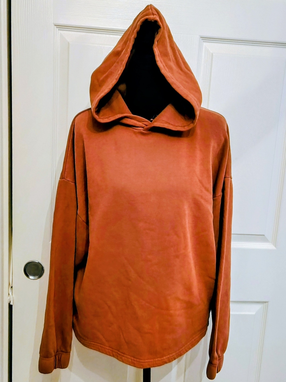 dlp Pullover Hoodie in Pumpkin Coloed Size Medium